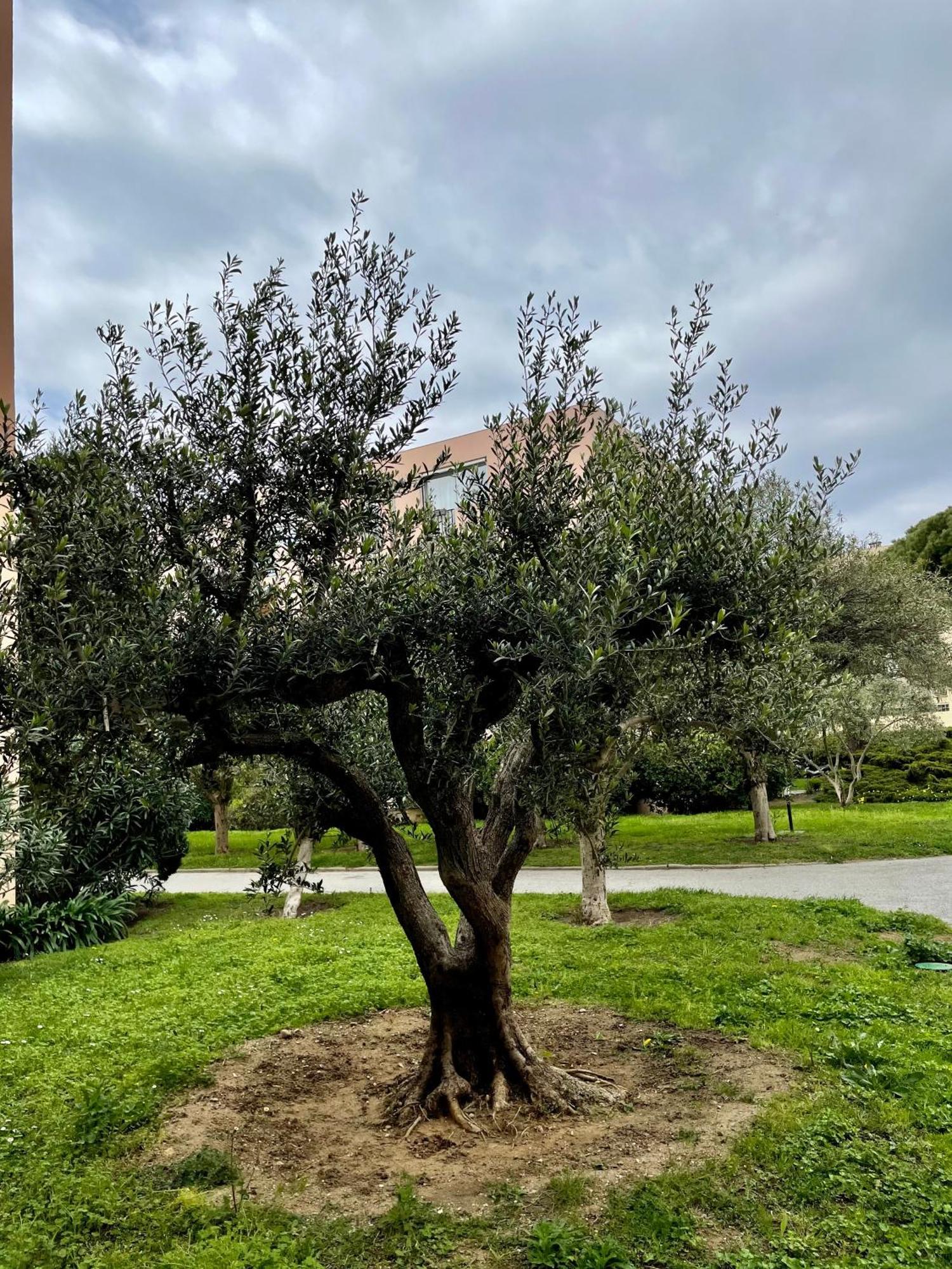 Appartement Saint Tropez Экстерьер фото
